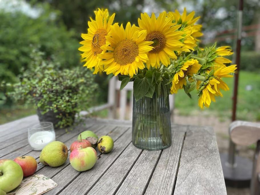 Wassermuehle Triglitz - Alleinlage Fuer Retreats, Workshops, Family & Friends מראה חיצוני תמונה
